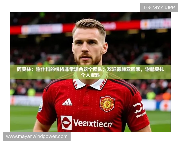 九游娱乐app不莱梅的赞助商如何推动球队品牌建设与市场扩展策略