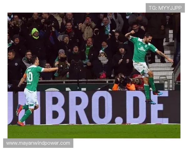 九游娱乐官方网站赞助的不莱梅足球队背后合作伙伴关系及品牌推广效果评估 九游娱乐官方网站赞助的不莱梅足球队背后合作伙伴关系及品牌推广效果评估